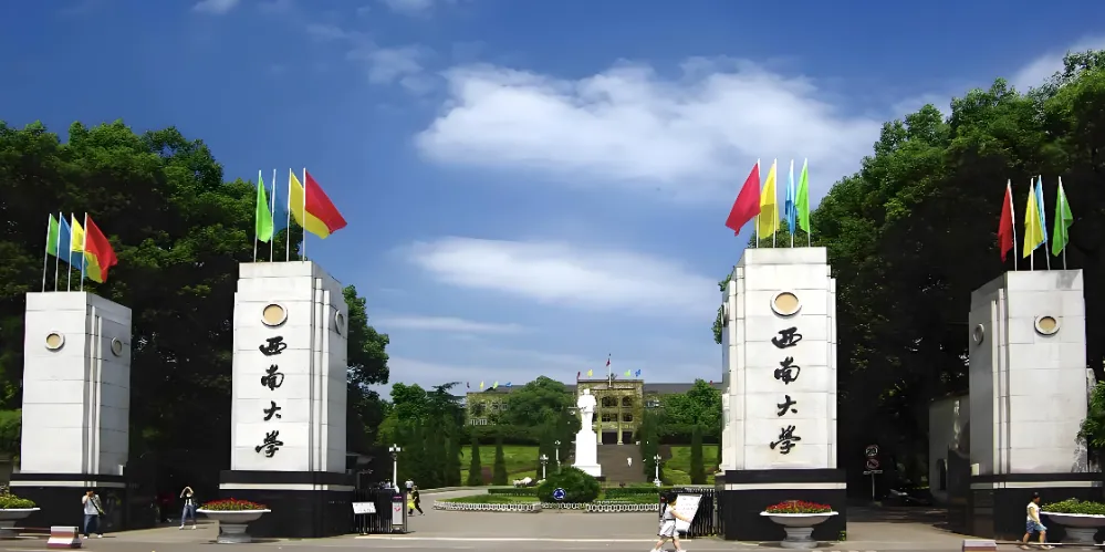 西南大学 封面