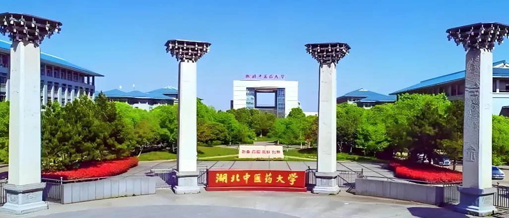湖北中医药大学 封面