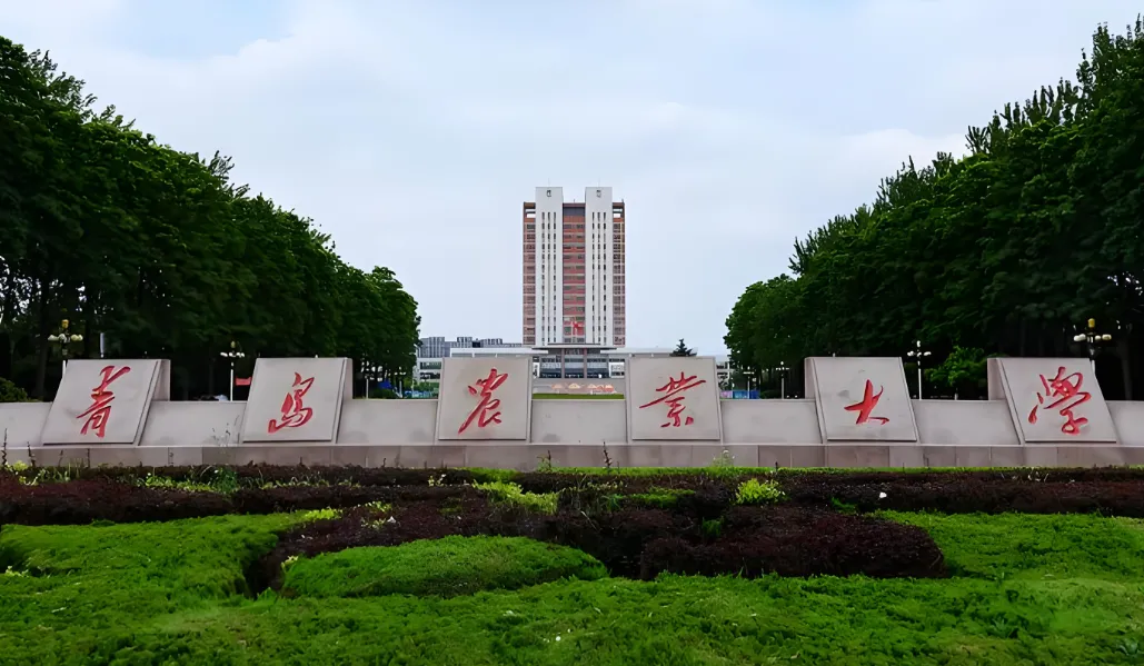 青岛农业大学 封面