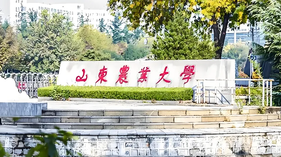 山东农业大学 封面