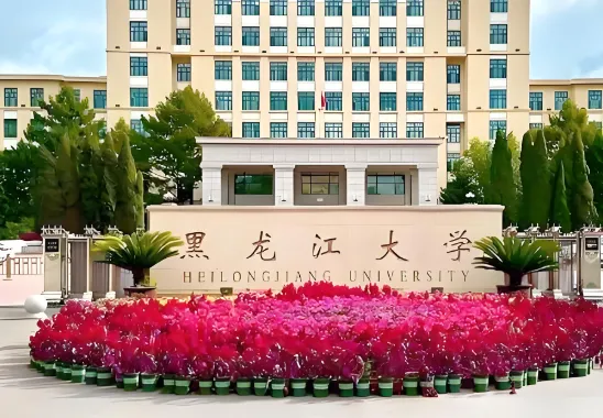 黑龙江大学 封面