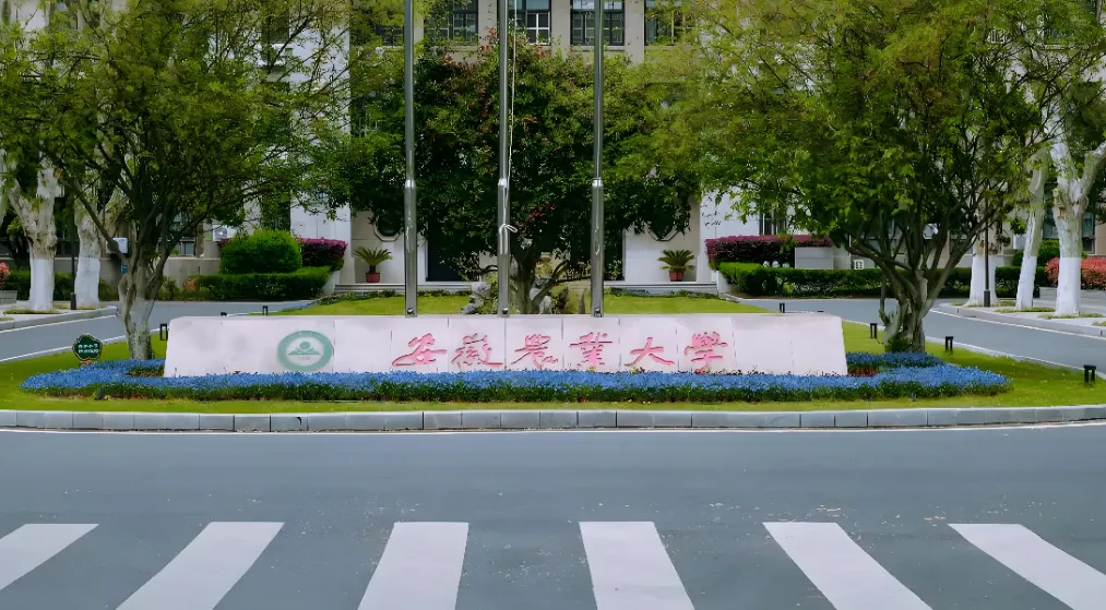 安徽农业大学 封面