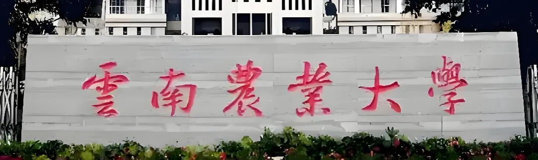 云南农业大学 封面