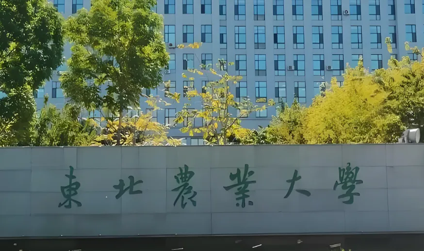 东北农业大学 封面