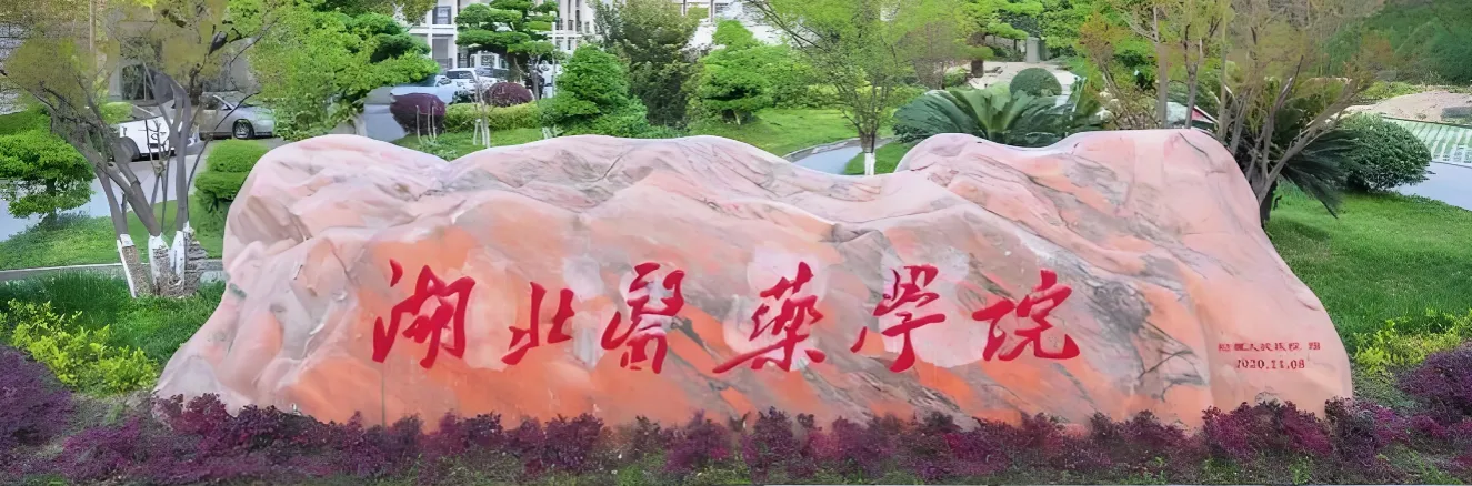 湖北医药学院 封面