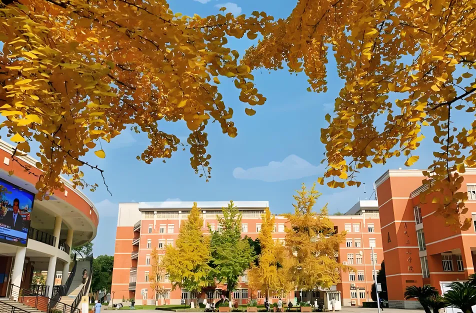 只有24小时考虑!四川大学2027推免复试9月就开始了