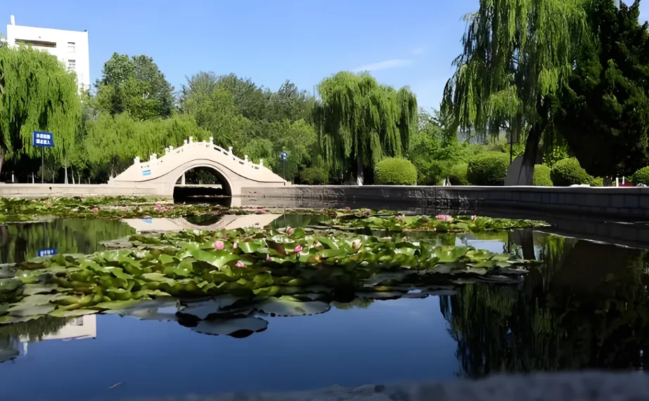 鲁东大学2026年研究生复试:工作方案与备考指南