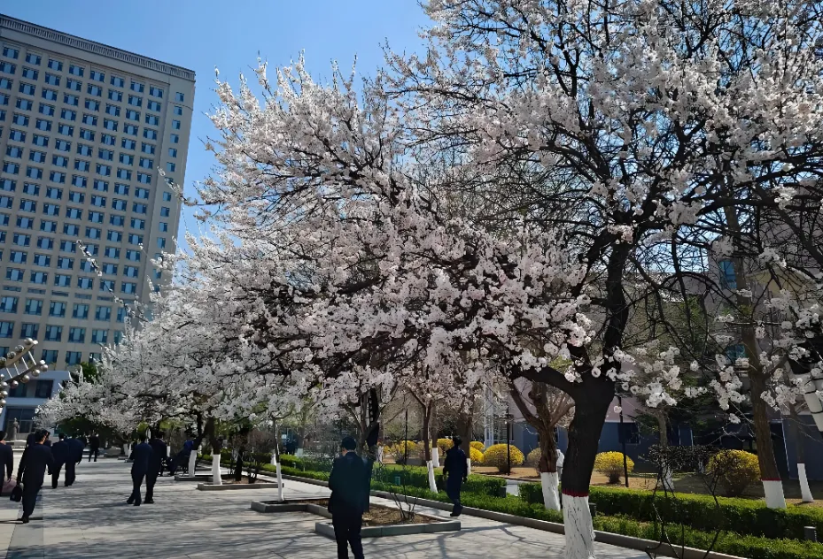 中国刑事警察学院2026年复试须知(官方发布)