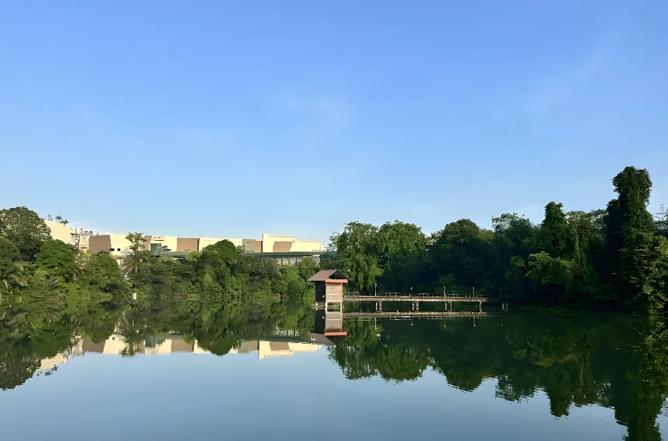 浙江大学MPAcc含金量及备考难度分析
