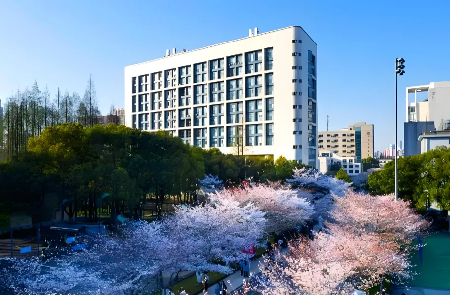 同济大学全日制MEM2027报考规则大变