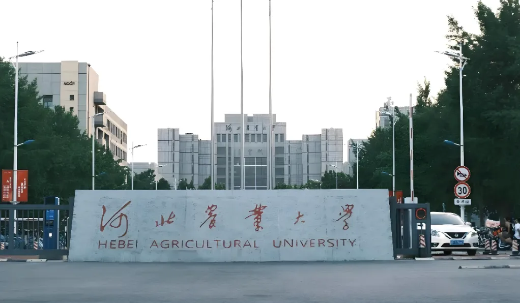 河北农业大学2026年硕士招生章程：报考条件与同等学力要求详解