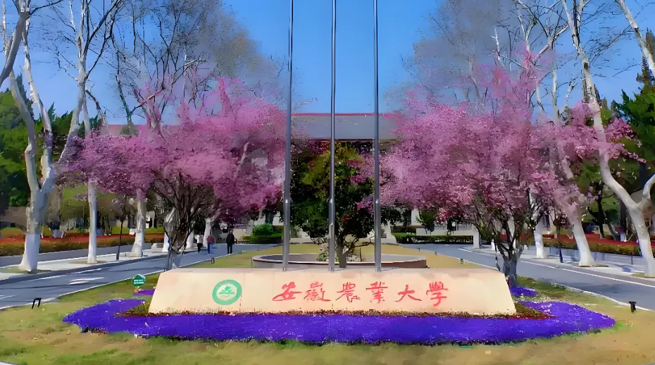 安徽农业大学2026硕士招生章程与专业目录汇总